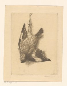 Dode vogel
