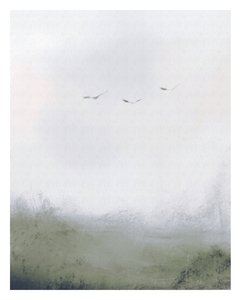Vogels vliegen over een veld, c.2018 door Leah Straatsma