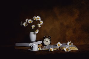 Daisies Books Ochtendrust door Leah Xu