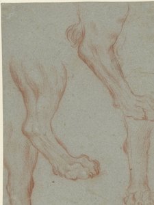 Studieblad met twee leeuwenpoten door Leandro Bassano