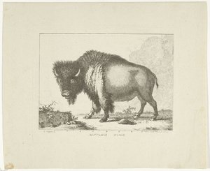 Bizon door Leendert Brasser