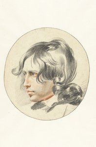Hoofd van een jongen door Leendert van der Cooghen