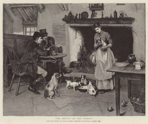 De schoonheid van de familie