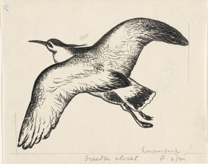 Vliegende vogel door Leo Gestel