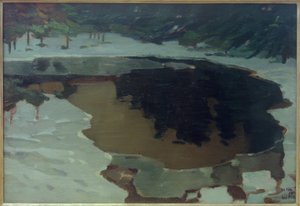 Moerasmeer in de winter door Leo Putz
