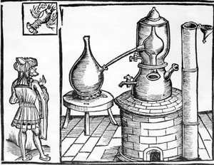 Illustratie uit The Volatile Oils door Edward Gildemeister en Fr. Hoffmann, 1860