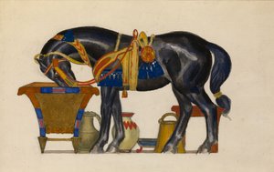 Paard water geven