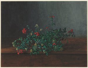 Stilleven met wilde bloemen door Léon Bonvin