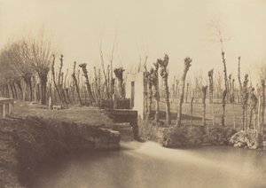 Landschap, Montebello,c. 1860 (foto) door Léon Gérard