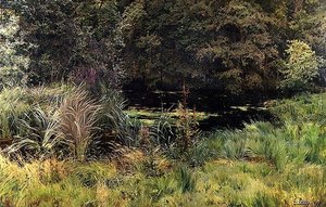 Landschap met Riet