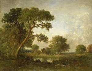 Landschap
