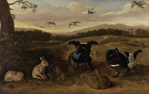 Zwart wild, konijnen en zwaluwen in een park, ca. 1700 door Leonard Knyff