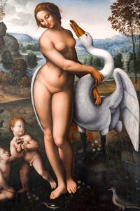 Leda en de zwaan