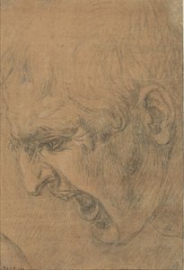Kop van een schreeuwende man door Leonardo da Vinci (follower of)