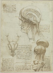 Een manuscriptblad met anatomische tekeningen en aantekeningen door Leonardo da Vinci