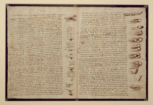 Een pagina uit de Codex Leicester, 1508-12 door Leonardo da Vinci