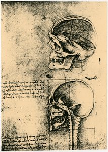 Anatomische schets, twee studies van een menselijke schedel, ca. 1489 door Leonardo da Vinci