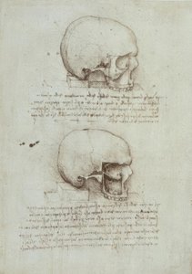 Anatomiestudies door Leonardo da Vinci