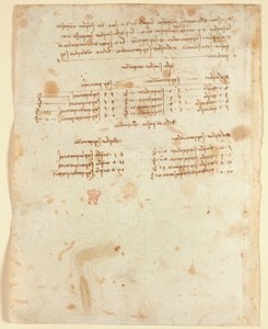 Aantekeningen (1483-1499), uit 