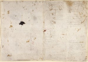 Tekeningen over de mechanische krachten en krachten, percussie, zwaartekracht, beweging, optica en astronomie, met verschillende rekenkundige en geometrische stellingen door Leonardo da Vinci