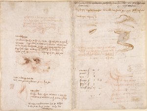 Notities over het gevoel van realiteit in dromen, over water, en de rivieren Sieve en Arno (ondersteboven), uit 