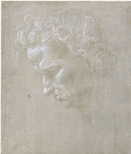  door Leonardo da Vinci