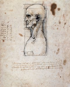 Borstbeeld van een man in profiel met metingen en aantekeningen door Leonardo da Vinci