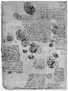 Diagram van de bloedwerveling in het hart, eind 15e of begin 16e eeuw, 1954 door Leonardo da Vinci