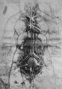 Dissectie van de Belangrijkste Organen van een Vrouw, c1480 1945 door Leonardo da Vinci