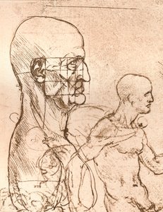 Tekening ter illustratie van de theorie van de proporties van het menselijk figuur, ca. 1472-1519, 1883 door Leonardo da Vinci
