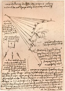Tekening van een mannelijk hoofd, illustratie van de schilderpraktijk door Leonardo da Vinci