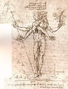 Tekening van een allegorische compositie, c1472-c1519 1883 door Leonardo da Vinci