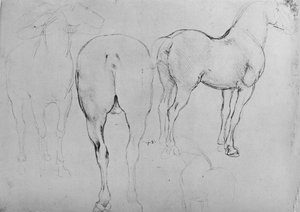 Vier schetsen van paarden, ca. 1480 door Leonardo da Vinci