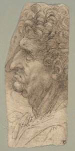 Hoofd van een man in profiel, naar links gekeerd door Leonardo da Vinci