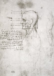 Hoofd van een oude man in profiel, facsimile kopie door Leonardo da Vinci
