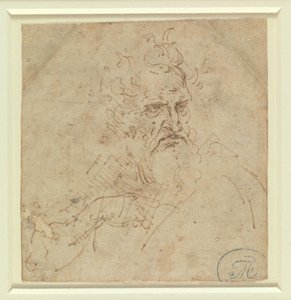  door Leonardo da Vinci