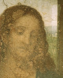  door Leonardo da Vinci