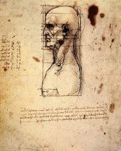 Mannelijk hoofd in profiel met verhoudingen door Leonardo da Vinci