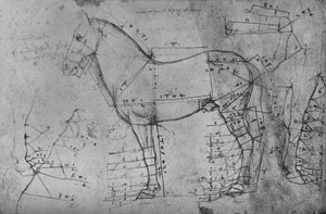 Gemeten tekening van een paard in profiel naar links