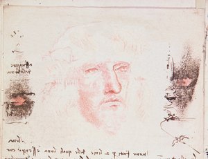 Aantekeningen over de Richtingsveranderingen in de Vlucht, manuscriptpagina uit Codici Rari III 35.2, fol. 10v uit Verhandeling over de Vlucht van Vogels, 1505 door Leonardo da Vinci
