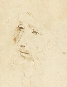Portret van Leonardo da Vinci, ca 1518