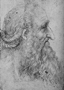 Profiel van een oude, bebaarde man naar rechts, ca. 1480 1945 door Leonardo da Vinci