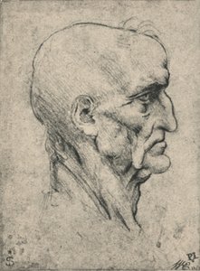 Profiel naar rechts van een oudere kale man, ca. 1480 door Leonardo da Vinci