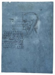 Proportiestudie van een mannelijk hoofd in profiel door Leonardo da Vinci