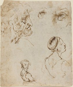 Studieblad [recto] door Leonardo da Vinci