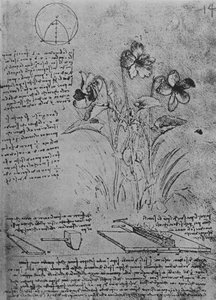 Studies van altviolen en methoden van solderen van loden daken