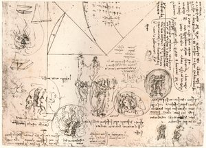 Studies van emblemen (c1472-c1519, 1883) door Leonardo da Vinci