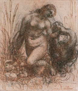 Studie voor Leda en de zwaan door Leonardo da Vinci