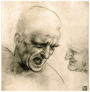 Studie voor het hoofd van een krijger door Leonardo da Vinci