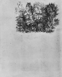 Studie van een hakhout, ca. 1480, 1945